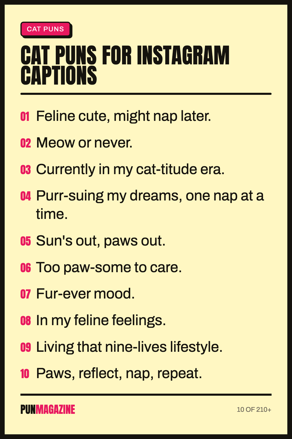 Cat puns for Instagram captions - a shareable card of hand-picked puns from PunMagazine