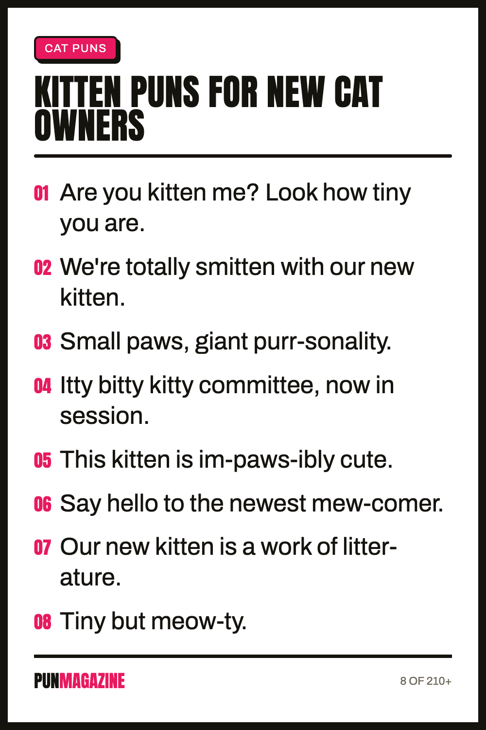 Kitten puns for new cat owners - a shareable card of hand-picked puns from PunMagazine